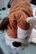 Ikea Bulldogge Hund braun