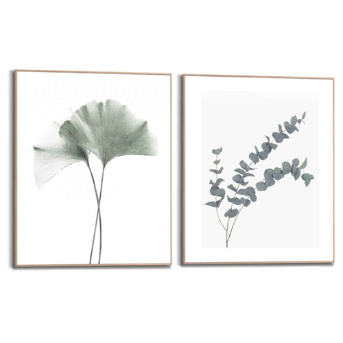 Wandbilder set eukalyptus - wandbilder,