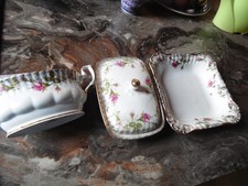 3 Stück Chodziez Polen Rosen