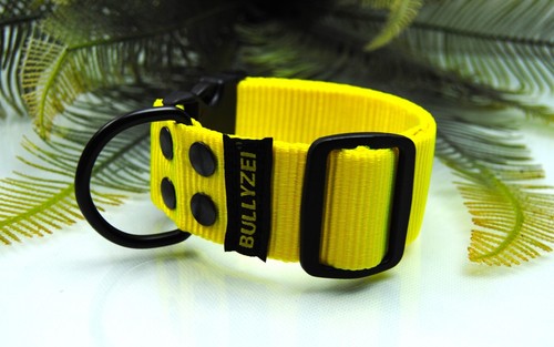 Halsband 40mm breit - halsband,