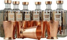 !!! BESTPREIS !!! 6x Absolut