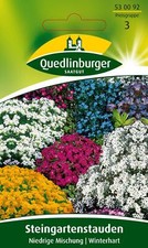 Steingartenstauden Niedrige Mischung Samen von Quedlinburger Saatgut