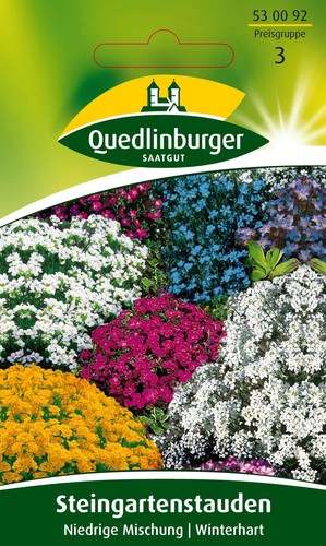 Steingartenstauden niedrige - steingartenstauden,