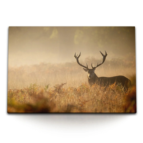 120x80cm wandbild auf leinwand - 120x80cm,