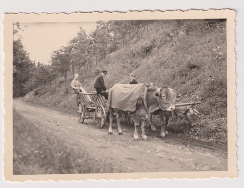 Original foto thüringen - original,