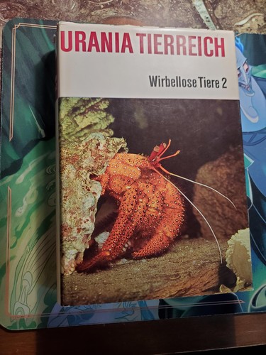 Urania tierreich wirbellose - urania,