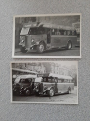 Alexander aec regal - alexander,