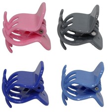 Guilia 1 x Große Daisy