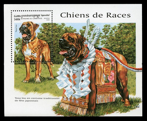 Tosa inu ken japanischer - tosa,