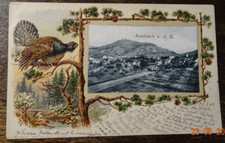 Auerbach  1903  Prägekarte U61