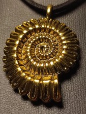 Damen Halskette Goldene Muschel am Band schön und elegant TOP modern