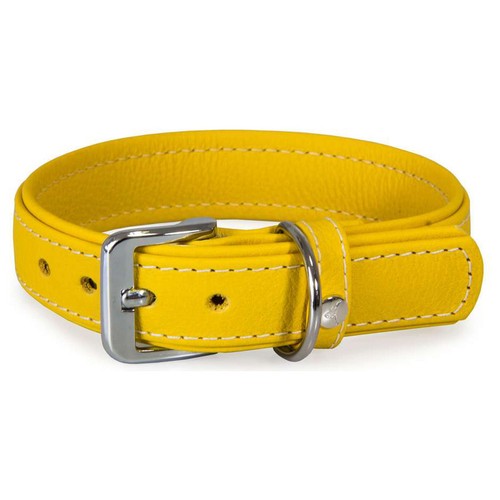 Das lederband hundehalsband - das,
