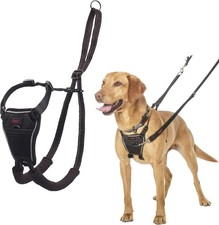 Hundegeschirr company - company, of