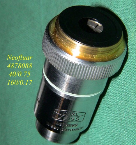 Zeiss neofluar 75 - zeiss,