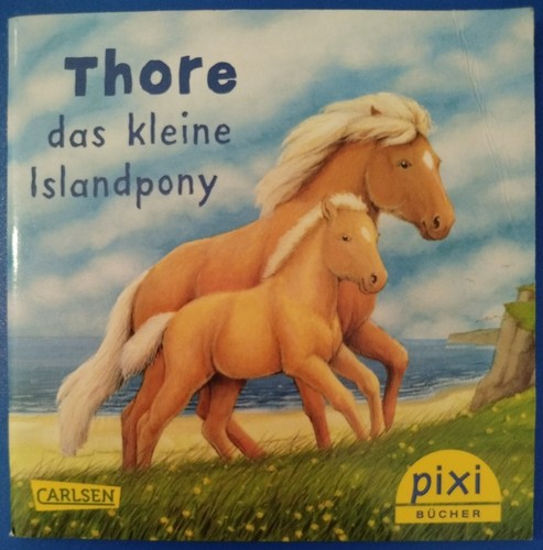 Pixi buch thore - thore, das