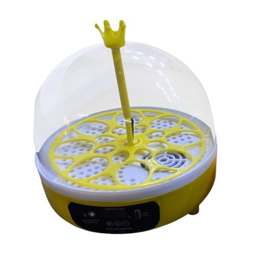Inkubator zum schlüpfen - inkubator,