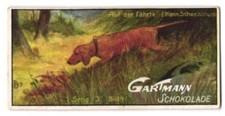 Sammelbild Gartmann
