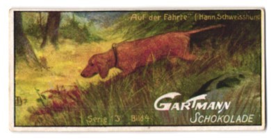 Sammelbild gartmann - sammelbild,