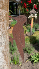 Edel rost garten specht - edel-rost, vogel