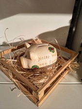 Sparschwein im Stall Spardose