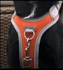 Hurtta Adventure No-Pull Geschirr für Hunde Größe 45 - 60