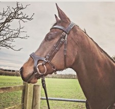 Royal Trense anatomisches