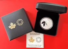 2025 Kanada 10 $ Gleaming