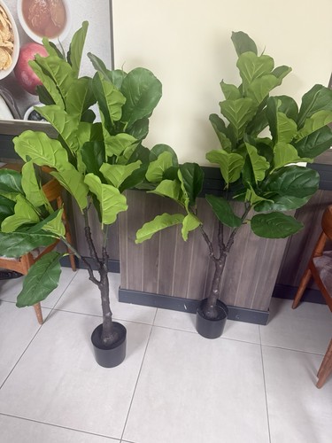 Künstliche geigenfeige ficus - künstliche, (ficus