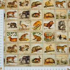 Afrikanische Tiere  Robert
