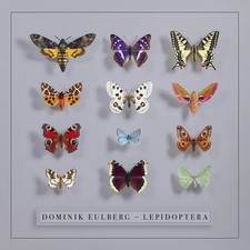 Lepidoptera | Dominik Eulberg