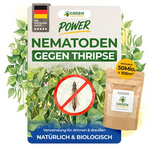 Nematoden gegen thripse - nematoden,