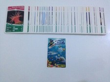 Netto Ozeanien 1 In 8 Wochen durch Ozeanien 10 Basis-Karten Aussuchen