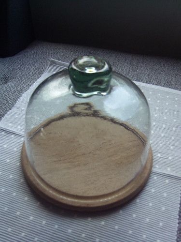 Käseglocke glas holz - holz, cm