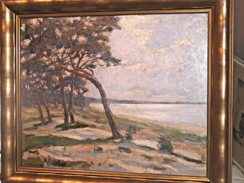 Ahrenshoop prerow darß - prerow,