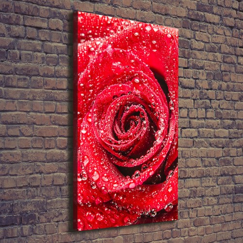Leinwand bild kunstdruck - leinwand-bild,