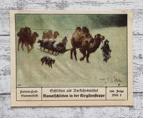 Kamelschlitten kigistensteppe - kamelschlitten,