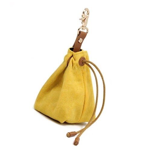 Waterproof dog training bag - training,