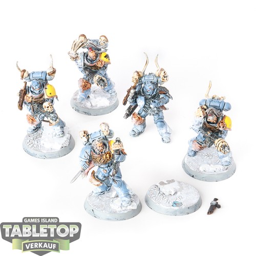 Space wolves 5x intercessor - 5x,
