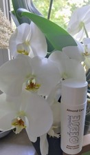 Deesse Almond Oil Body Lotion