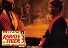 Karate Tiger 3 - Der Kickboxer