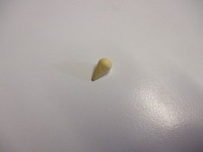 Playmobil 30257320 Rübe weiß