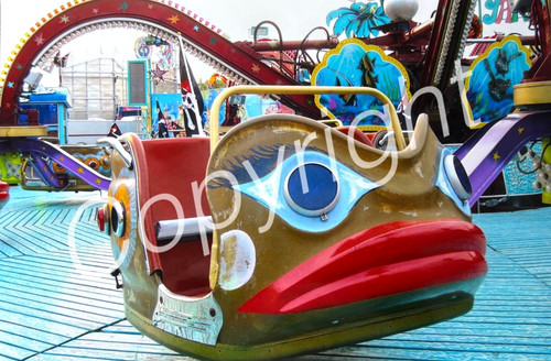 Xxl foto karussell polyp - karussell,