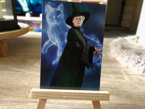 Panini harry potter aus - -,