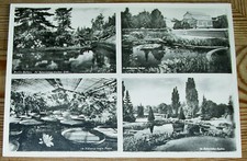 AK ~1950: Berlin Dahlem Botanischer Garten