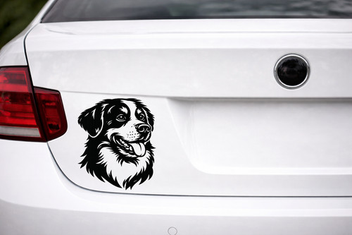 Berner sennen hund - hund, aufkleber