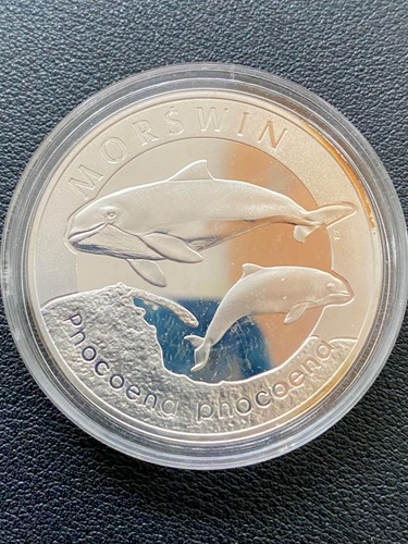 Polnische silber münze zl - silber,