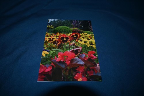 Postkarte butchart gardens - postkarte,