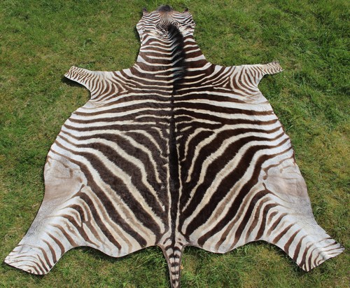 Zebrafell echt neu aus - zebrafell,