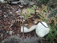 Edelrost Stahl  Garten Deko