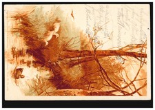 Tier-AK Naturlandschaft mit Fluss Enten, DARMSTADT 8.8.1898 Ortspostkarte